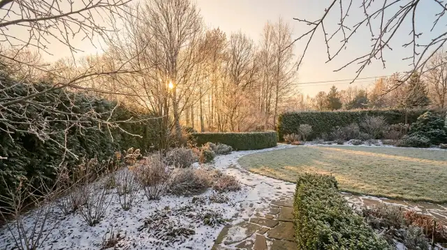 Zimowy ogród w Polsce — gołe gałęzie i szron na trawie w spokojnym poranku