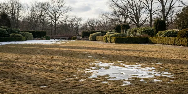 Brązowy trawnik po zimie w polskim ogrodzie — resztki śniegu i spłaszczona trawa w lutowym słońcu