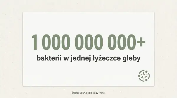 Statystyka — miliard bakterii w łyżeczce gleby