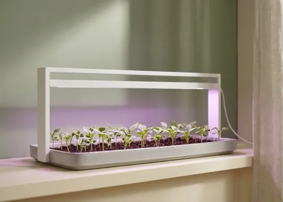 Lampa LED do rozsady — listwa full spectrum nad parapetową uprawą sadzonek