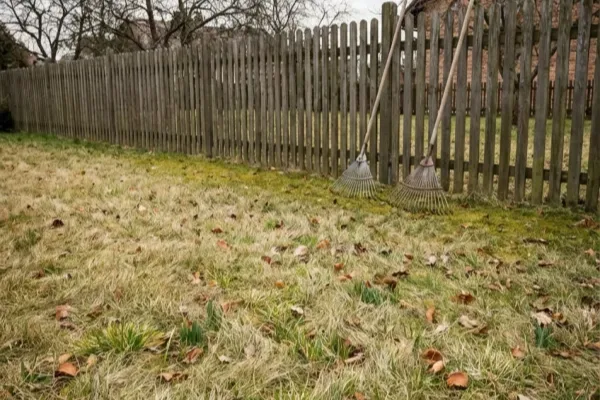 Trawnik przydomowy w marcu po zimie — lekko pożółkła trawa z widocznym filcem, grabie wachlarzowe w tle