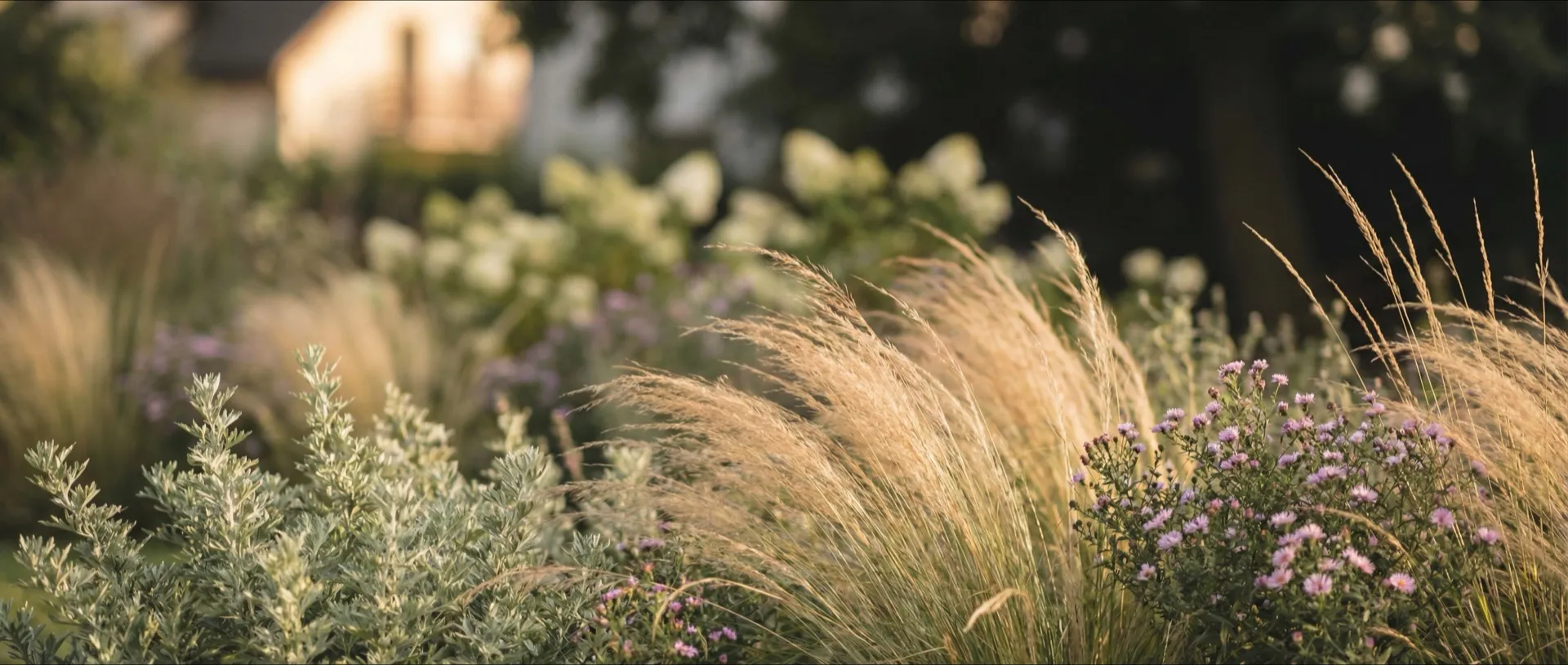 projektów na Chartowie (12) — tło sekcji statystyki