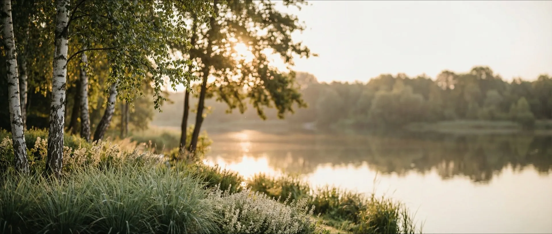 projektów w Strzeszynie (14) — tło sekcji statystyki