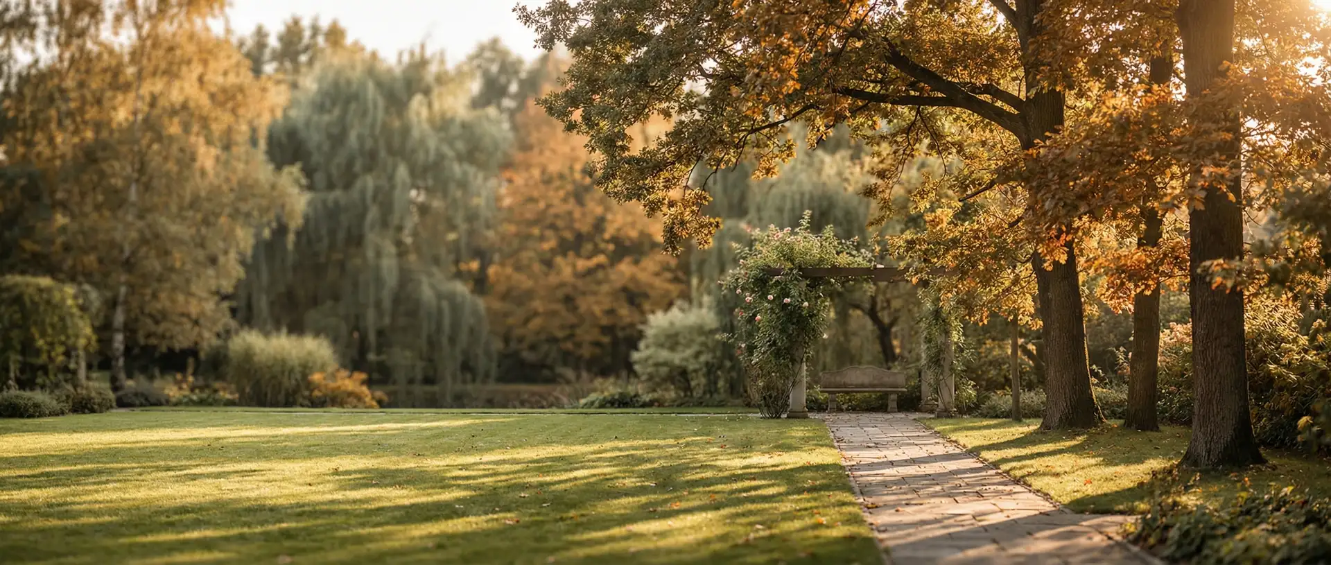 przyjmowość drzew (95%) — tło sekcji statystyki