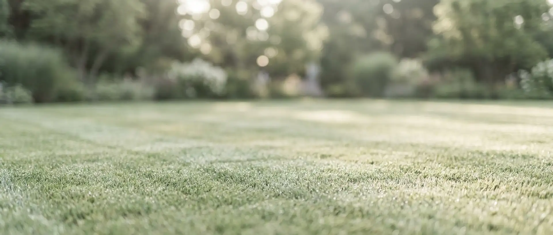 optymalna częstotliwość koszenia (co 7-10 dni) — tło sekcji statystyki