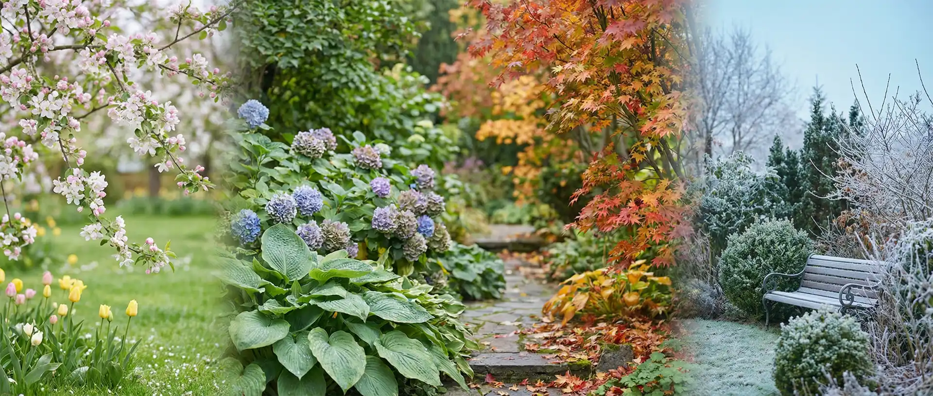 mniejsze ryzyko chorób roślin (60%) — tło sekcji statystyki