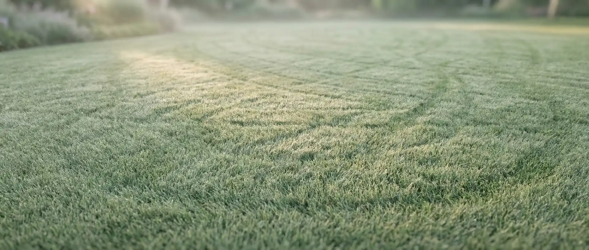 czas na koszenie miesięcznie (0 minut) — tło sekcji statystyki